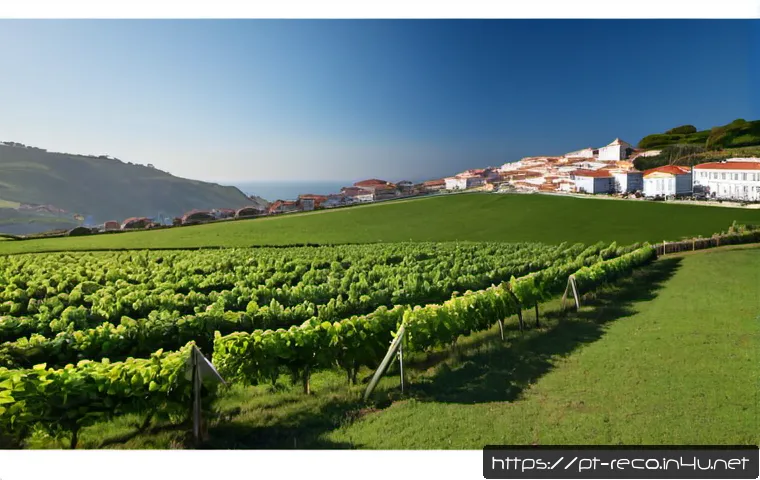 Como preparar uma apresentação científica internacional em ecologia: conteúdo, inglês e orçamento 4 생태환경 국제 학술대회 발표 준비 관련 이미지 2